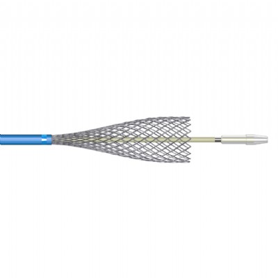 Carotid Wallstent