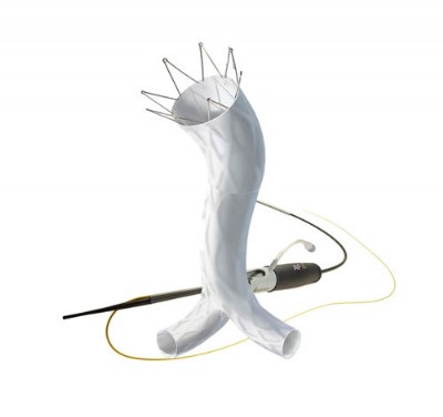 Hội thảo về triển khai kỹ thuật đặt Stent Graft của hãng sản xuất Endologix Ngày 06/7/2020